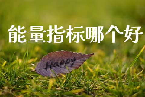 能量指标哪个好_https://wap.sdyuehang.cn_债券资讯_第1张