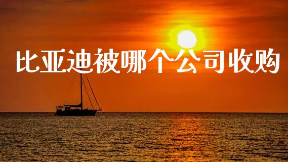 比亚迪被哪个公司收购_https://wap.sdyuehang.cn_新股申购_第1张