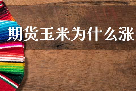 期货玉米为什么涨_https://wap.sdyuehang.cn_债券资讯_第1张