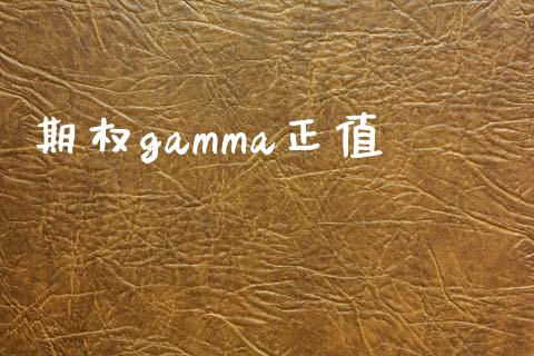 期权gamma正值_https://wap.sdyuehang.cn_新股申购_第1张