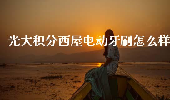 光大积分西屋电动牙刷怎么样_https://wap.sdyuehang.cn_产经新闻_第1张