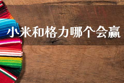 小米和格力哪个会赢_https://wap.sdyuehang.cn_新股申购_第1张
