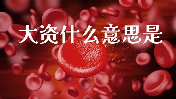 大资什么意思是_https://wap.sdyuehang.cn_美股行情_第1张