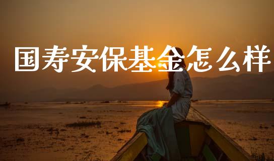 国寿安保基金怎么样_https://wap.sdyuehang.cn_美股行情_第1张