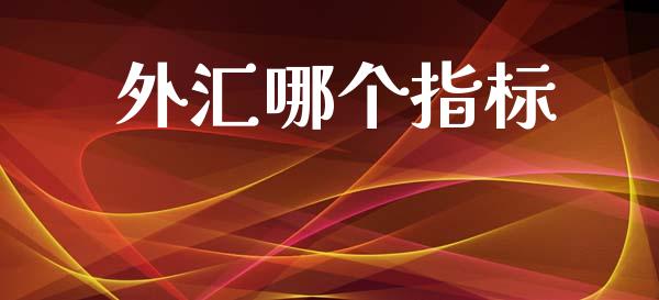 外汇哪个指标_https://wap.sdyuehang.cn_产经新闻_第1张