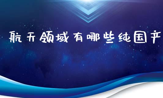 航天领域有哪些纯国产_https://wap.sdyuehang.cn_产经新闻_第1张