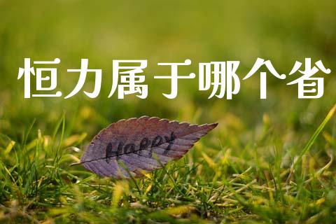 恒力属于哪个省_https://wap.sdyuehang.cn_债券资讯_第1张