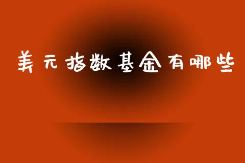 美元指数基金有哪些_https://wap.sdyuehang.cn_产经新闻_第1张