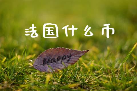 法国什么币_https://wap.sdyuehang.cn_产经新闻_第1张