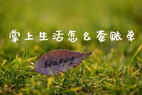 掌上生活怎么查账单_https://wap.sdyuehang.cn_债券资讯_第1张