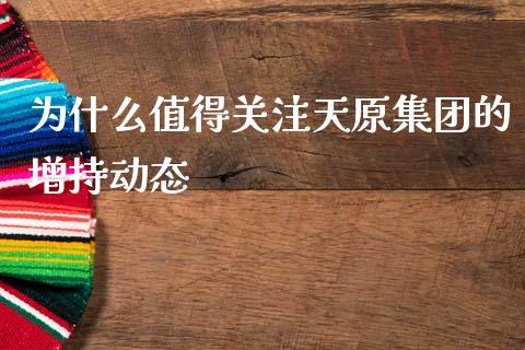 为什么值得关注天原集团的增持动态_https://wap.sdyuehang.cn_债券资讯_第1张