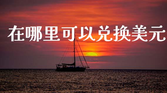 在哪里可以兑换美元_https://wap.sdyuehang.cn_美股行情_第1张