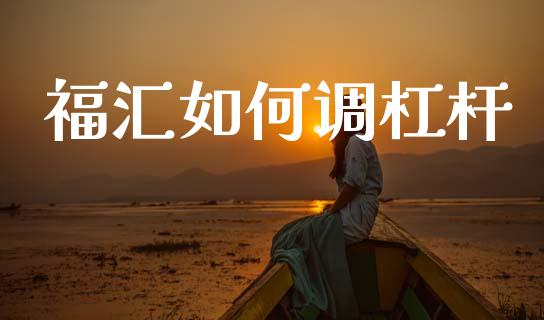 福汇如何调杠杆_https://wap.sdyuehang.cn_产经新闻_第1张