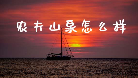 农夫山泉怎么样_https://wap.sdyuehang.cn_美股行情_第1张