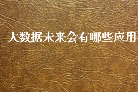 大数据未来会有哪些应用_https://wap.sdyuehang.cn_产经新闻_第1张