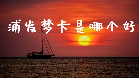 浦发梦卡是哪个好_https://wap.sdyuehang.cn_债券资讯_第1张