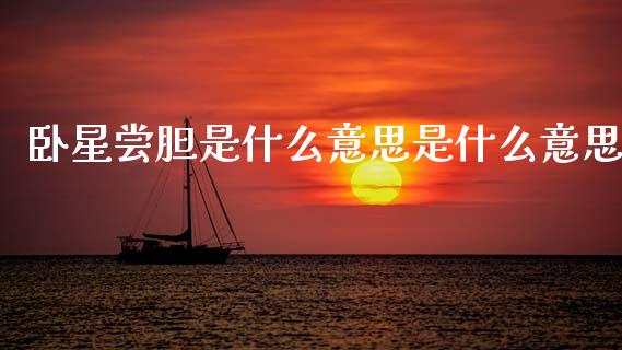 卧星尝胆是什么意思是什么意思_https://wap.sdyuehang.cn_新股申购_第1张