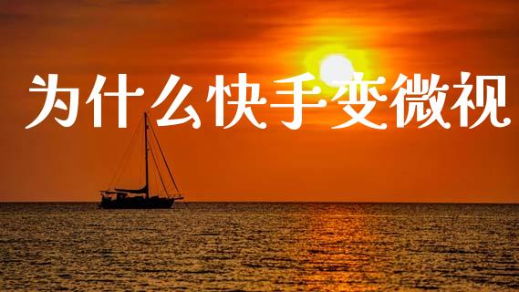 为什么快手变微视_https://wap.sdyuehang.cn_产经新闻_第1张