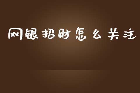 网银招财怎么关注_https://wap.sdyuehang.cn_美股行情_第1张