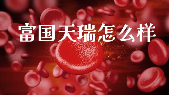 富国天瑞怎么样_https://wap.sdyuehang.cn_新股申购_第1张