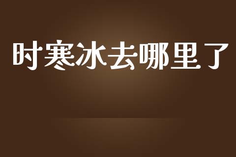时寒冰去哪里了_https://wap.sdyuehang.cn_债券资讯_第1张