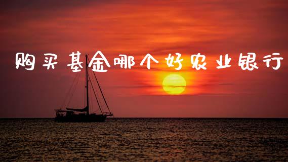 购买基金哪个好农业银行_https://wap.sdyuehang.cn_产经新闻_第1张