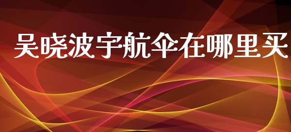 吴晓波宇航伞在哪里买_https://wap.sdyuehang.cn_新股申购_第1张