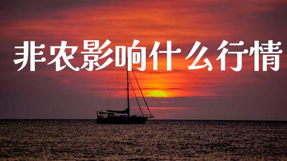 非农影响什么行情_https://wap.sdyuehang.cn_产经新闻_第1张