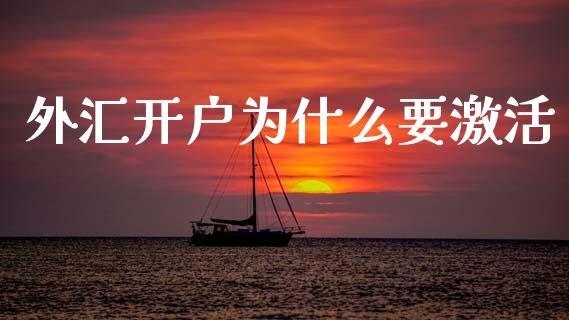 外汇开户为什么要激活_https://wap.sdyuehang.cn_新股申购_第1张