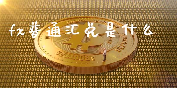 fx普通汇兑是什么_https://wap.sdyuehang.cn_产经新闻_第1张