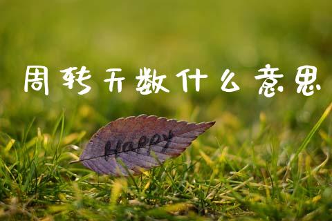 周转天数什么意思_新股申购_第1张_产经新闻_债券资讯_新股申购_美股行情 周转天数什么意思_https://wap.sdyuehang.cn_新股申购_第1张