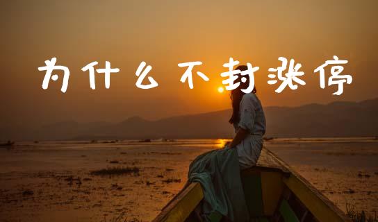 为什么不封涨停_https://wap.sdyuehang.cn_债券资讯_第1张