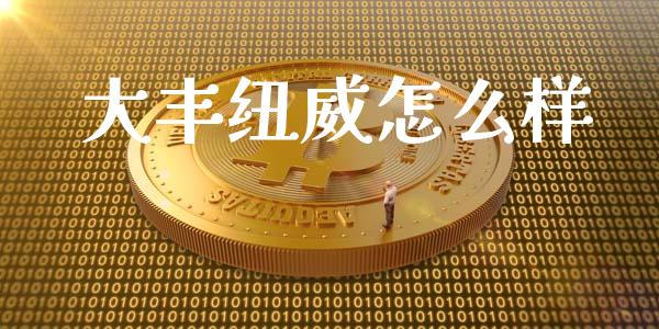大丰纽威怎么样_https://wap.sdyuehang.cn_产经新闻_第1张