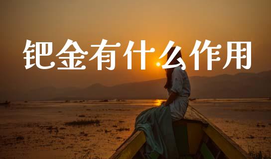 钯金有什么作用_https://wap.sdyuehang.cn_新股申购_第1张