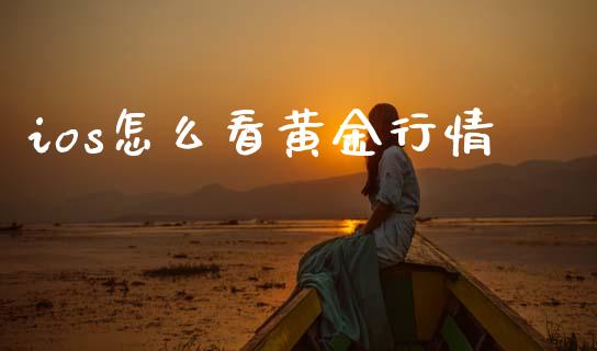 ios怎么看黄金行情_https://wap.sdyuehang.cn_新股申购_第1张