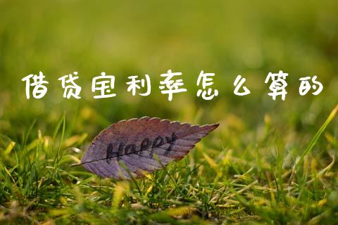 借贷宝利率怎么算的_https://wap.sdyuehang.cn_产经新闻_第1张