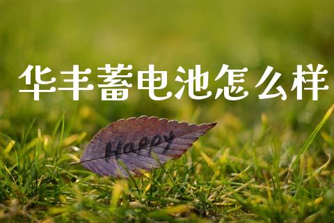 华丰蓄电池怎么样_https://wap.sdyuehang.cn_新股申购_第1张