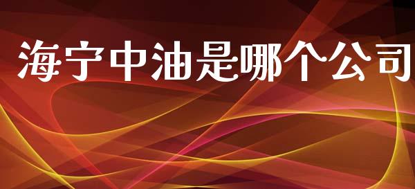 海宁中油是哪个公司_https://wap.sdyuehang.cn_债券资讯_第1张