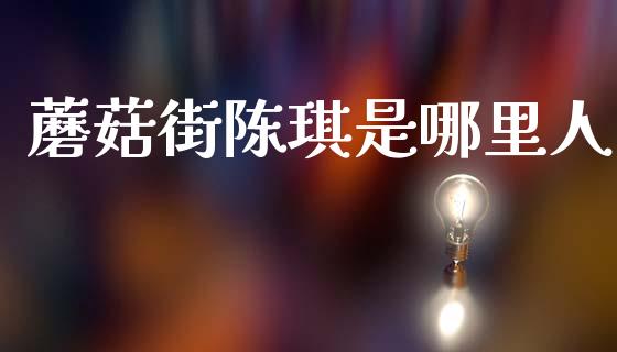 蘑菇街陈琪是哪里人_https://wap.sdyuehang.cn_产经新闻_第1张
