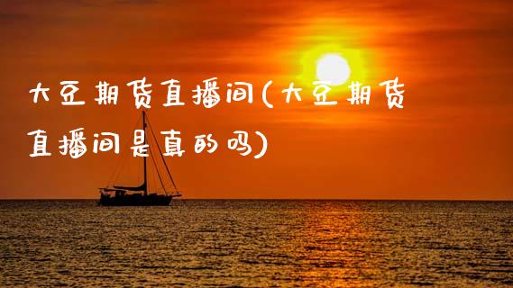 大豆期货直播间(大豆期货直播间是真的吗)_https://wap.sdyuehang.cn_新股申购_第1张