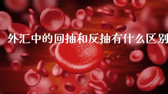 外汇中的回抽和反抽有什么区别_https://wap.sdyuehang.cn_新股申购_第1张
