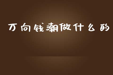 万向钱潮做什么的_https://wap.sdyuehang.cn_美股行情_第1张