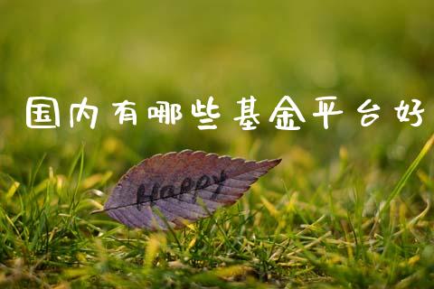 国内有哪些基金平台好_https://wap.sdyuehang.cn_美股行情_第1张