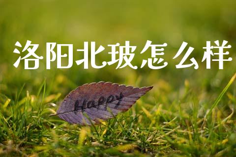 洛阳北玻怎么样_债券资讯_第1张_产经新闻_债券资讯_新股申购_美股行情 洛阳北玻怎么样_https://wap.sdyuehang.cn_债券资讯_第1张