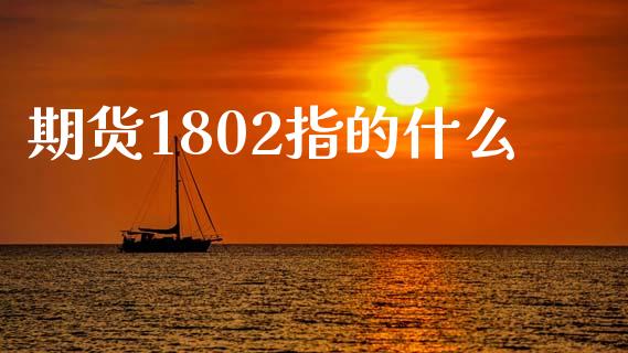 期货1802指的什么_https://wap.sdyuehang.cn_债券资讯_第1张