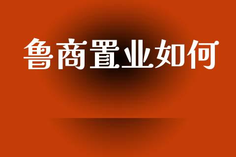 鲁商置业如何_https://wap.sdyuehang.cn_美股行情_第1张