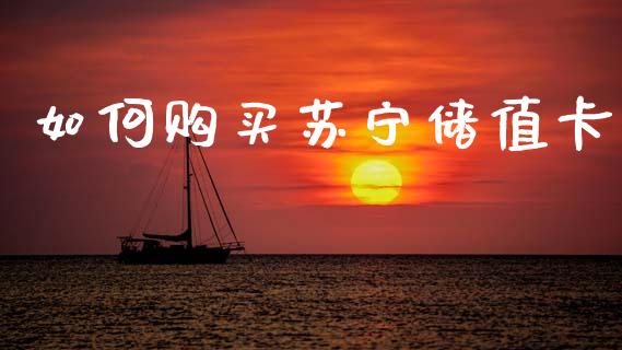 如何购买苏宁储值卡_https://wap.sdyuehang.cn_产经新闻_第1张