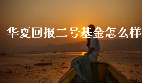 华夏回报二号基金怎么样_https://wap.sdyuehang.cn_新股申购_第1张