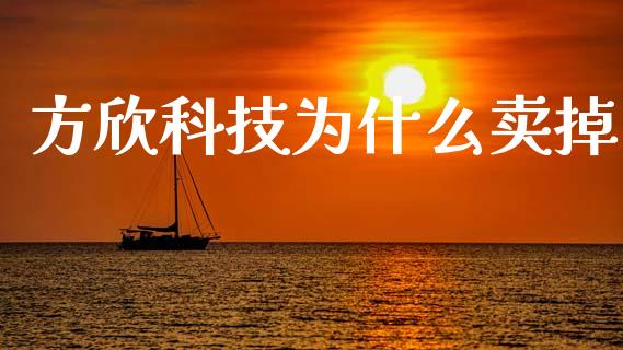 方欣科技为什么卖掉_https://wap.sdyuehang.cn_产经新闻_第1张