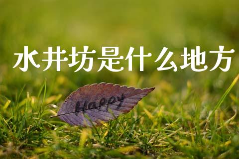 水井坊是什么地方_https://wap.sdyuehang.cn_美股行情_第1张